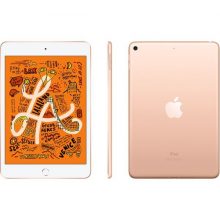iPad-Mini-Front-and-Back-Gold
